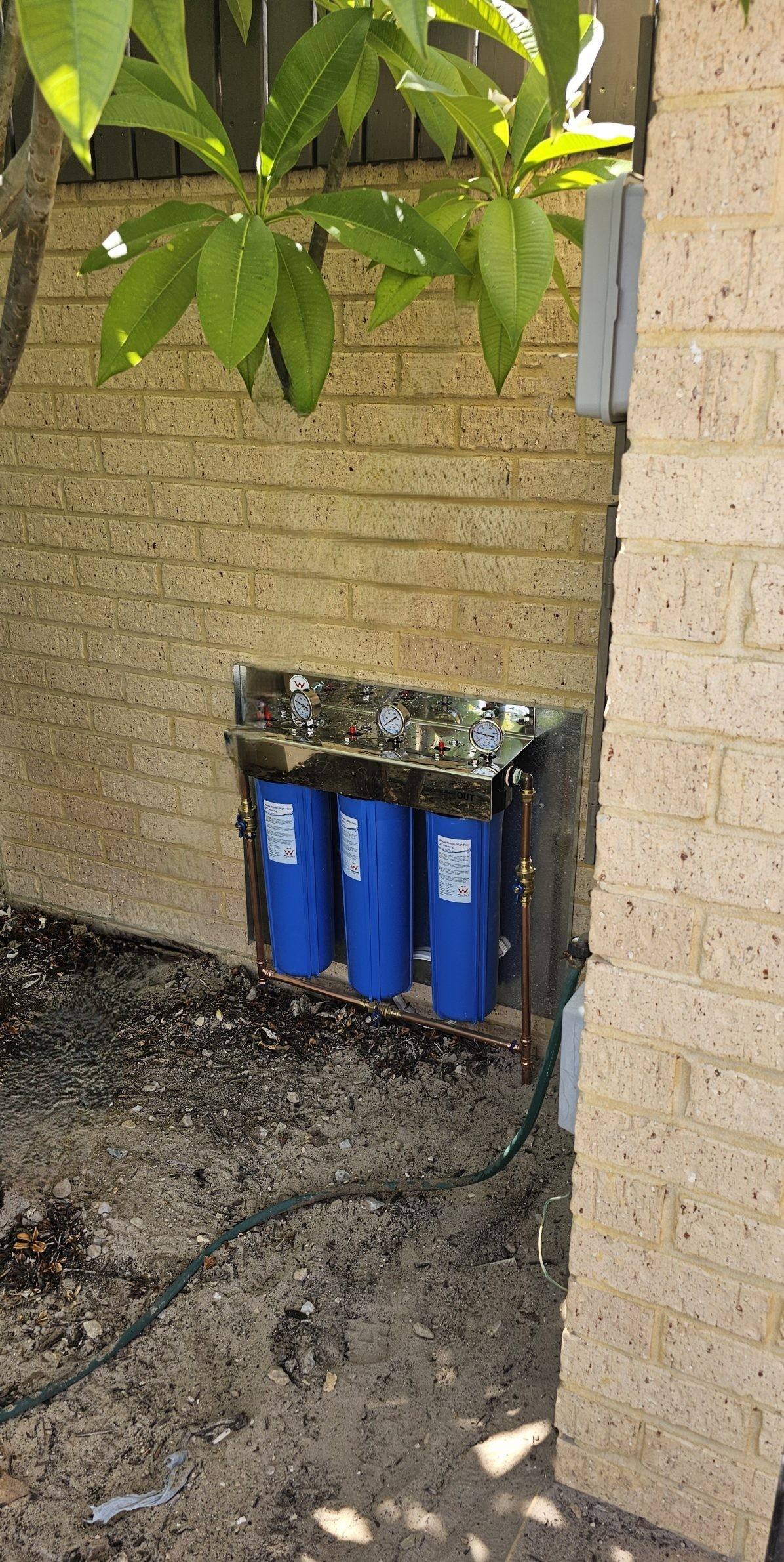 A three-stage whole-house filter with blue housings on a limestone-brick wall beside a frangipani